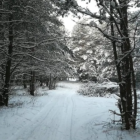 Chataa Szczechy Male