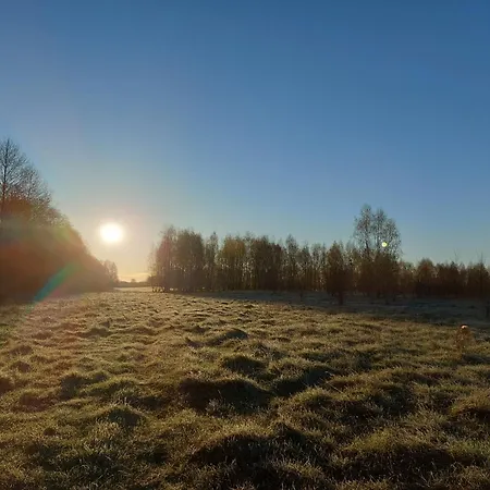 Chataa Szczechy Male