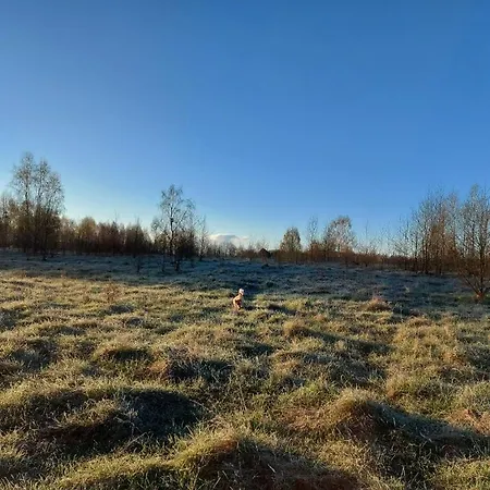 Chataa * Szczechy Male