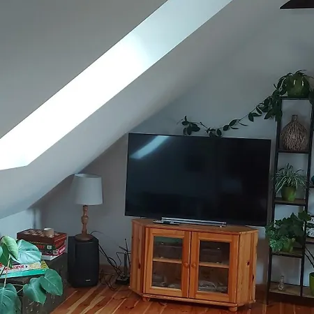 Chataa Szczechy Male