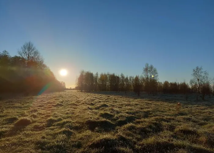 Chataa Szczechy Male