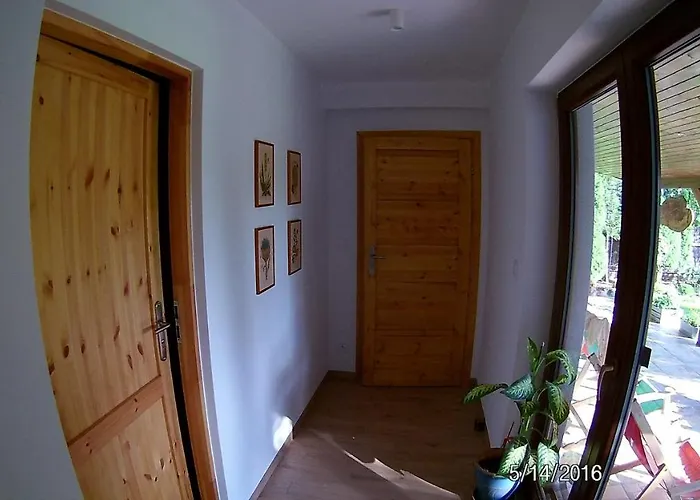 Chataa Szczechy Male